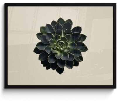 Poster in lijst - Fotolijst 80x60 cm - Posters - Rozet - Cirkelvormig - Donkergroen - Posterlijst zwart - Decoratie - Wanddecoratie woonkamer - Muurdecoratie slaapkamer