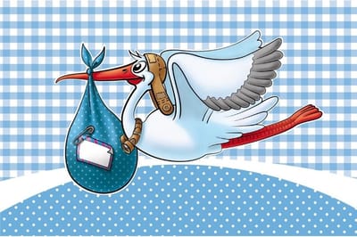 Raamvlag geboorte jongen - blauw - 60 x 90 cm - polyester - kraamversiering - feestartikelen - kraamfeest/babyshower