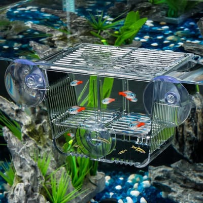 Kweekbox voor aquarium met 6 zuignappen, acryl broedbox voor baby vissen, garnalen en betta's, ideaal voor acclimatisatie en isolatie