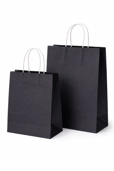 50x zwarte papieren draagtassen kraft – 2 formaten 18x8x22 cm & 22x10x28 cm – cadeautasjes papier met handvat