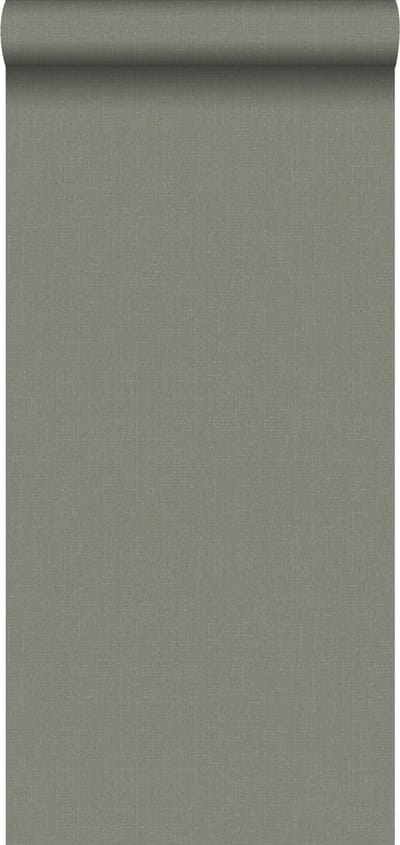 Walls4You behang effen groen grijs - 935343 - 0,53 x 10,05 m