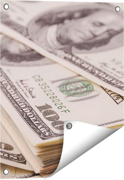 Gards Tuinposter Dollar Geld Briefjes - 40x50 cm - Tuindoek - Tuindecoratie - Wanddecoratie buiten - Tuinschilderij
