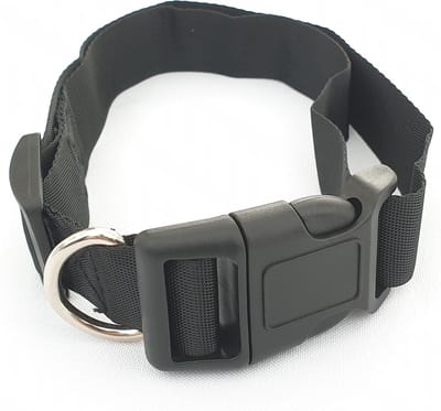 Halsband hond - 36-60cm x 2.5cm - Zwart