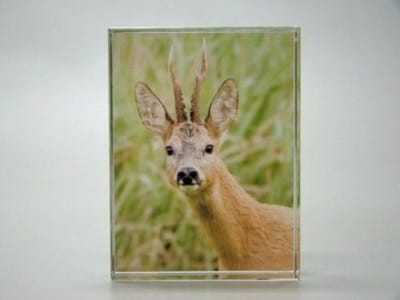 Glasblokje met gravure – 6 x 2 x 8 cm – Decoratief glasobject