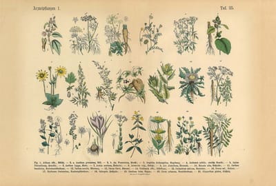 Fotobehang MedicalPlant DD109065 A.S. Création AP Digital 4 | Fotobehang