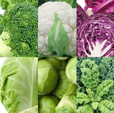 Kool zaden assortiment zaadlint (broccoli zaden, bloemkool zaden, rode kool zaden, witte kool zaden, spruiten zaden, boerenkool zaden)