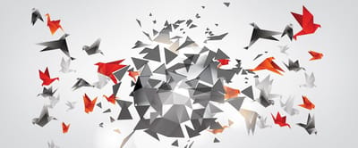 Explosion Birds Abstract Photo Wallcovering