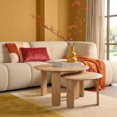 Slide Salontafel Set 2 Stuks Mangohout Whitewash Rond Modern
