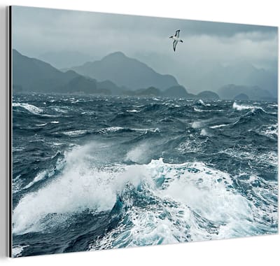 Aluminium schilderij 180x120 cm - Wanddecoratie metaal - Zee - Vogel - Golf - Metalen muurdecoratie woonkamer - Decoratie industrieel - Foto op dibond - Industriële accessoires slaapkamer