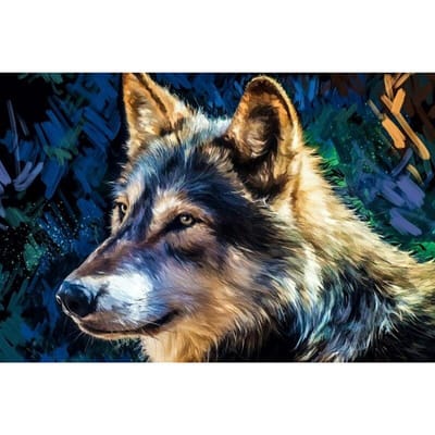 5D Diamond schilderij  Abstracte majestueuze Wolf Art  Diamond mozaïek diamant borduurwerk kruissteek 20X30CM gray