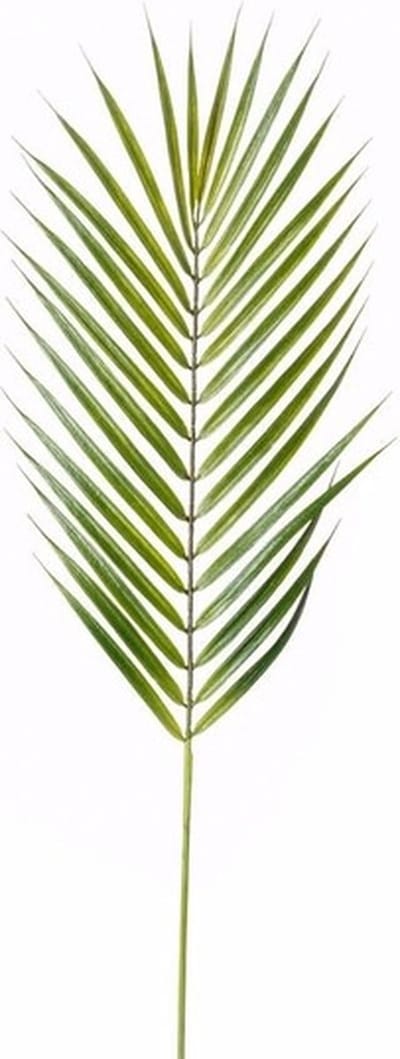 Kunstplant Chamaedorea palm blad 75 cm - 12x - Kamerplant kunstplanten/nepplanten - Palm bladeren