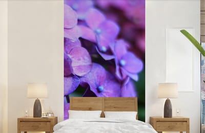 Behang - Fotobehang Bloemen - Paars - Hortensia - Natuur - Bloemblaadjes - Breedte 120 cm x hoogte 240 cm