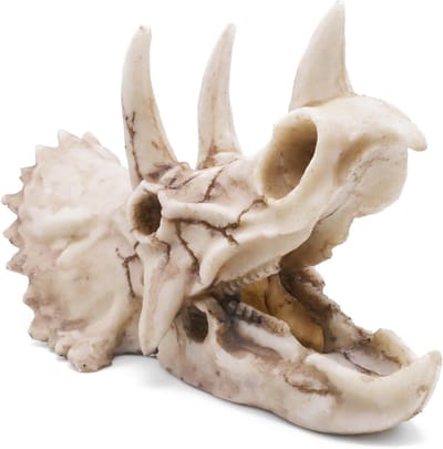 Dinosaurus Schedel Versteend Reptiel Ornament Schelp voor Terrarium Aquarium