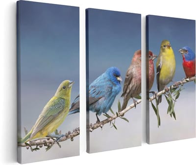Artaza Canvas Schilderij Drieluik Kleurrijke Zangvogels Op Een Tak - Kleur - 120x80 - Foto Op Canvas - Canvas Print