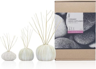 FT 516664 Ceramic Diffuser Set 240ml Che