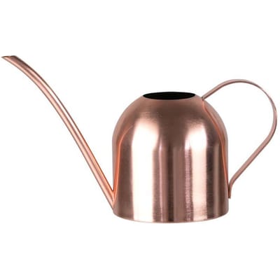 Roestvrijstalen Gieter Plantengieter met Lange Tuit Gieter Tuingereedschap 450ml brown