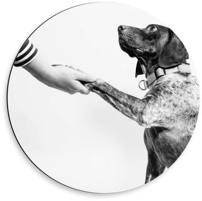 Dibond Wandcirkel - Hond die een Poot geeft in Zwart Wit  - 50x50cm Foto op Aluminium Wandcirkel (met ophangsysteem)