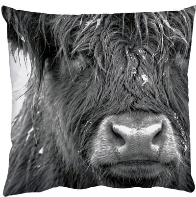 Sierkussens - Kussentjes Woonkamer - 50x50 cm - Schotse hooglander - Zwart - Wit - Sneeuwvlokken