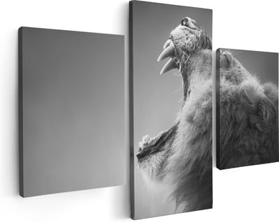 Artaza Canvas Schilderij Drieluik Brullende Leeuw - Zwart Wit  - 90x60 - Foto Op Canvas - Canvas Print