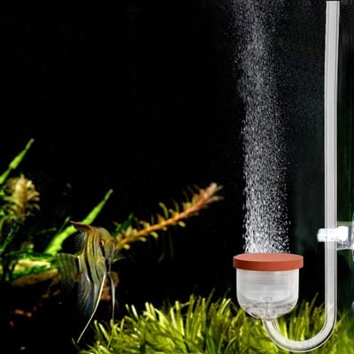 Dailygoods- CO2-diffusorset Eenvoudig te installeren - Acryl