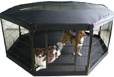 Boon Afdekhoes voor de Puppyren 8-hoek