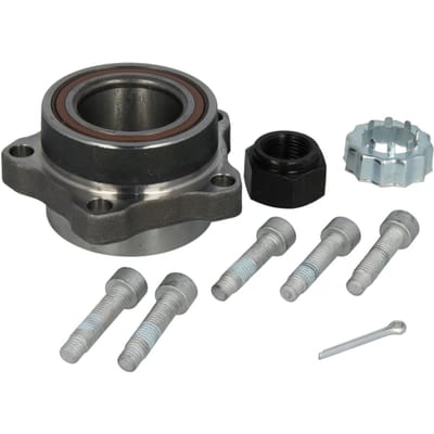 Wiellagerset SNR R141.09