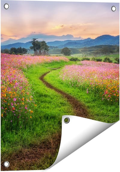 Gards Tuinposter Kosmos Bloemenveld met een Pad - Bloemen - 40x50 cm - Tuindoek - Tuindecoratie - Wanddecoratie buiten - Tuinschilderij