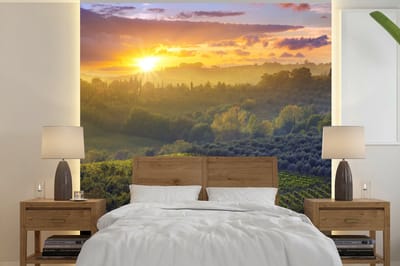 Behang - Fotobehang Toscane - Landschap - Zon - Breedte 240 cm x hoogte 240 cm