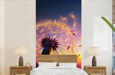 Behang - Fotobehang Paardenbloem - Bloemen - Zonsondergang - Horizon - Nacht - Breedte 120 cm x hoogte 240 cm