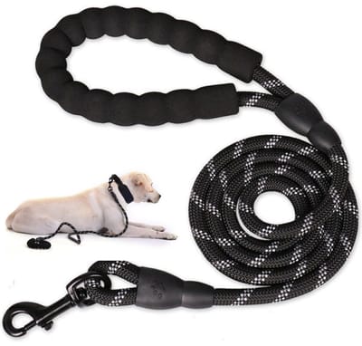 Dailygoods- Hondenriem 150 cm - Verstelbare Trainingslijn - Reflecterend - Gevoerde Handgreep - Nylon - Duurzaam en Slijtvast - Hondentuig