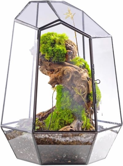 Geometrisch Glazen Terrarium met Deur - 25cm Hoog Irreguliere Plantenbak voor Vetplanten, Cactussen en Moderne Tuin Decoratie, Handgemaakt in Zwart