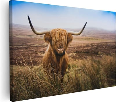 Artaza Canvas Schilderij Hooglander - 30x20 cm - Klein - Muurdecoratie Woonkamer - Wanddecoratie Schotse Hooglander - Kamer Accessoires