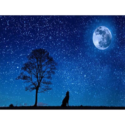 Diamant schilderij borduurpakketten diamant borduurwerk mozaïek volle maan patroon foto Home Decor 20X30CM blue