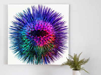 Explosive sea urchin hues | Explosive Sea Urchin Hues | Kunst - 60x60 centimeter op Dibond | Foto op Dibond