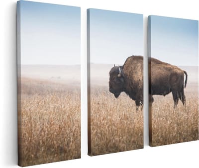 Artaza Canvas Schilderij Drieluik Bizon in het Gras - 120x80 - Foto Op Canvas - Canvas Print