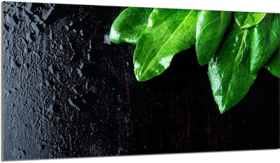 TMK ArtDeko - Beschermplaat - 90x52 cm - Gehard Glas - Bazylia