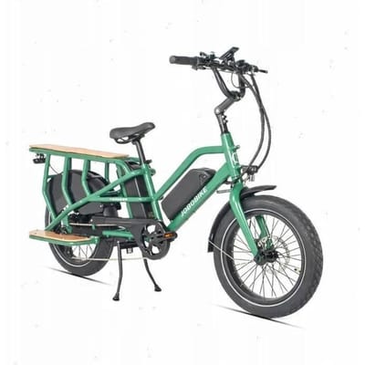 JOBOBIKE TRANSER - Vélo électrique - 250 W - 48 V - 15 Ah - Vitesse maximale 25 km/h - Écologique