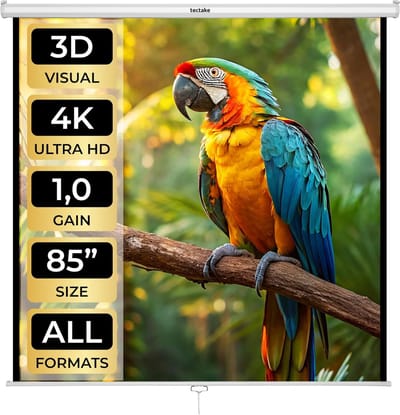 Projectiescherm - Beamer Scherm - Home Cinema - Zonder Kreukels - 152 x 152 cm - Wit