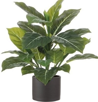 Mica Decorations Kunstplant Aroskelk - groen - H49 cm - in keramiek bloempot - antraciet - D15 x H13 cm - Philodendron - Kamerplanten