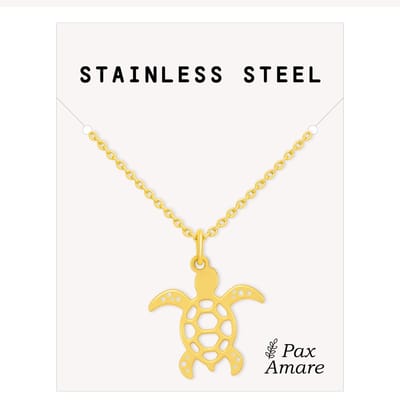 Stainless Steel Zeeschildpad Ketting Goudkleurig - 45cm + 5cm Verstelbaar Roestvrij Staal - Schattige Cadeau Hanger - Pax Amare