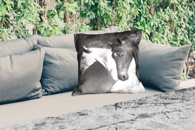 Buitenkussen Weerbestendig - Paarden - Dieren - Zwart - Wit - Portret - 50x50 cm