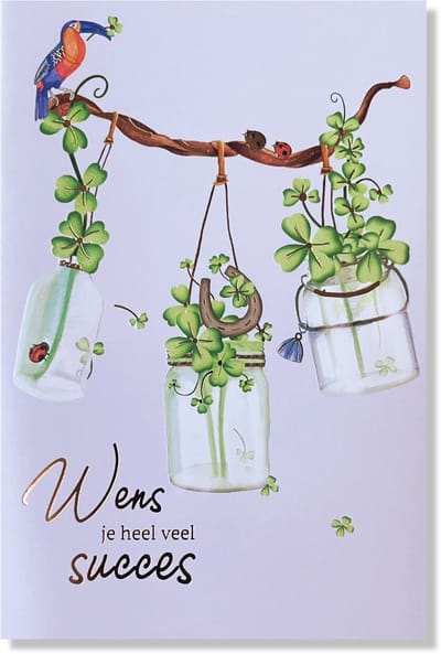 Wens je heel veel Succes Wenskaart - 12x17cm - Gevouwen kaart inclusief envelop - Veel Geluk / Succes