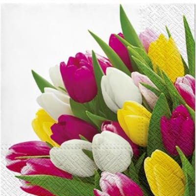 Dekoratief | Pakje 20 servetten 'Bunch of Tulips' 33x33cm | A701574