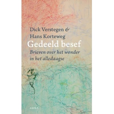 Gedeeld Besef - Dick Verstegen