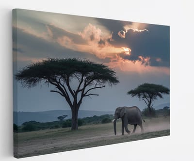 Saammp Canvas Schilderij - Olifant - Savanne - Dieren - 45x30 - Foto op canvas - Wanddecoratie - muurdecoratie Woonkamer - Slaapkamer decoratie - Canvas Print