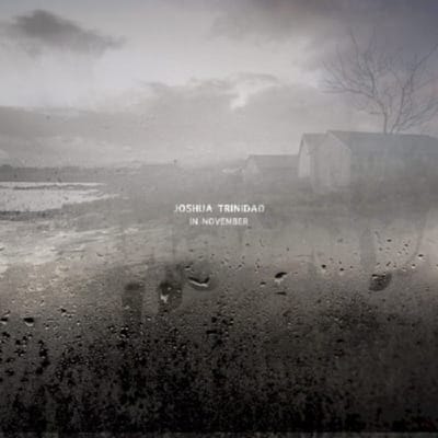 In November - Joshua Trinidad