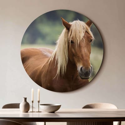 KitchenArt - Golden Whisper - Muurcirkel Binnen - ø 100 cm - Wandcirkel - Mét Ophangsysteem - Wanddecoratie - Muurdecoratie