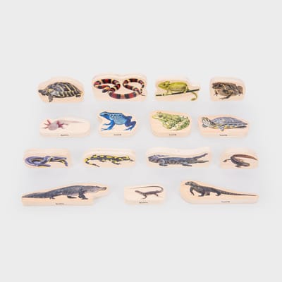 tickit® Houten Reptielen- En Amfibieënblokken