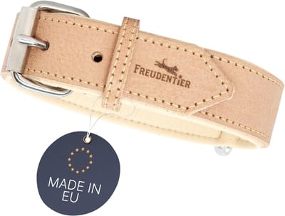 Gevoerde leren hondenhalsband - Comfortabel en duurzaam - 42-52 cm