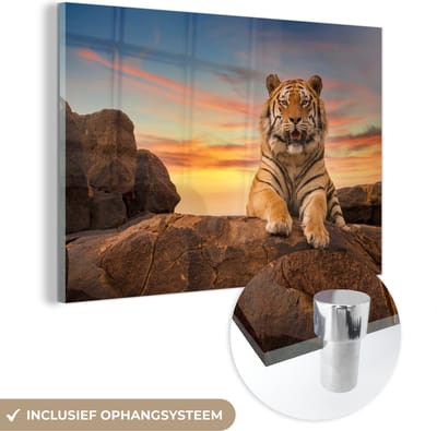 MuchoWow® Glasschilderij 60x40 cm - Schilderij acrylglas - Tijger - Zon - Rotsen - Foto op glas - Schilderijen